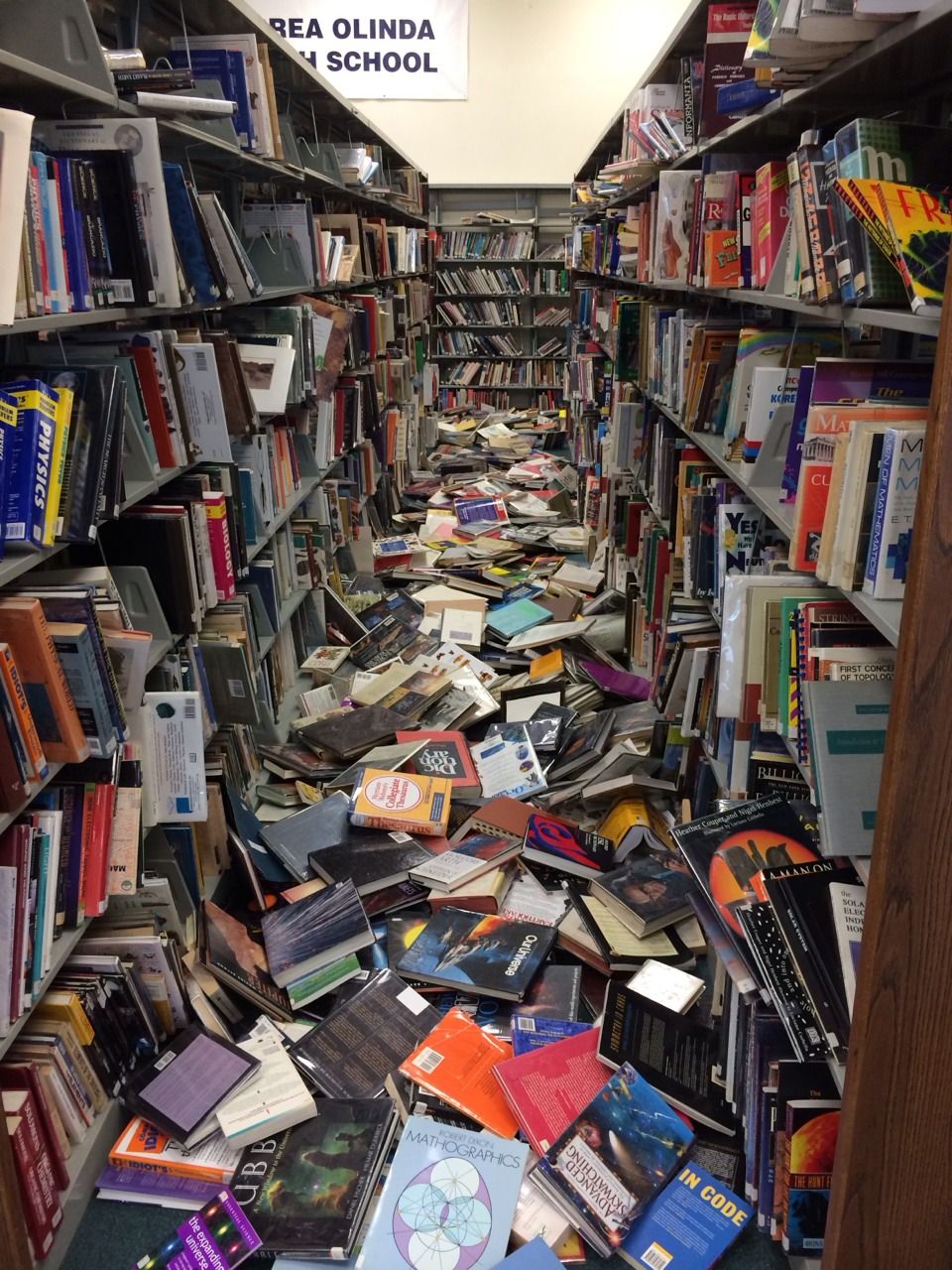 Ejemplo SEO Técnico Biblioteca Desorganizada
